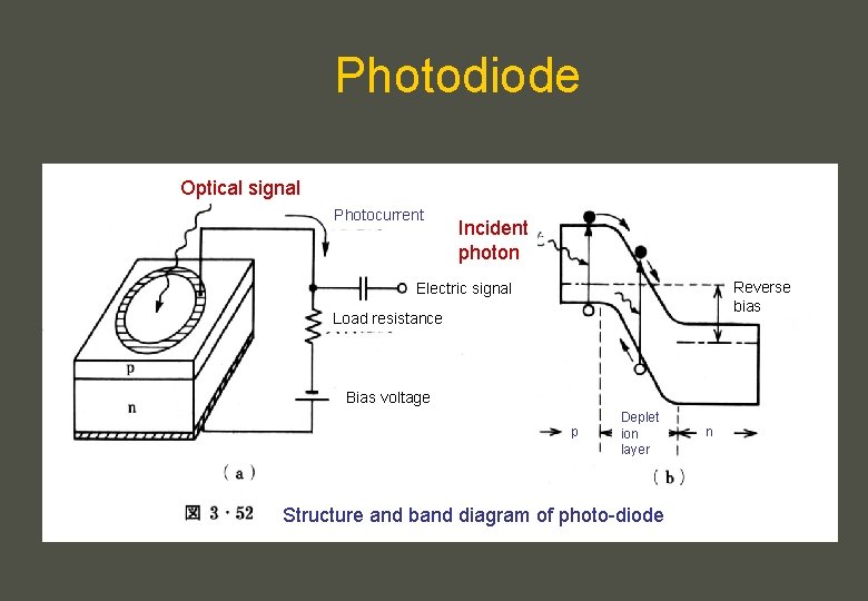 Photodiode Optical signal Photocurrent Incident photon Reverse bias Electric signal Load resistance Bias voltage