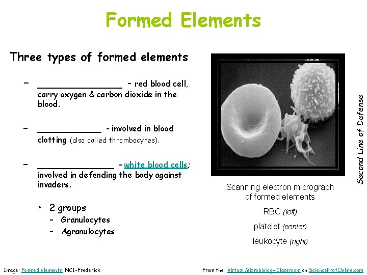 About Science Prof Online Power Point Resources Science