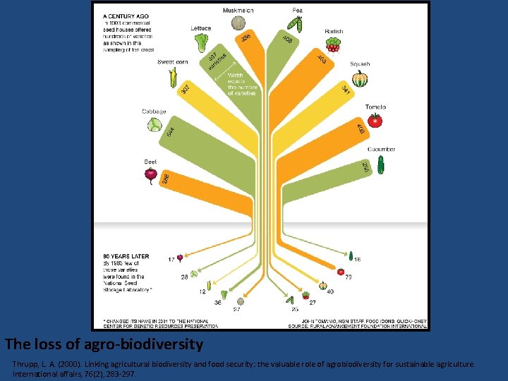 The loss of agro-biodiversity Thrupp, L. A. (2000). Linking agricultural biodiversity and food security: