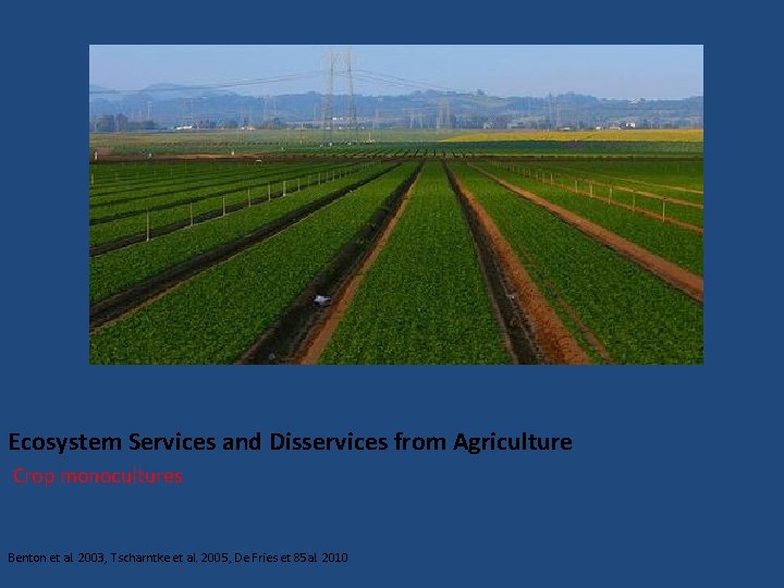 Ecosystem Services and Disservices from Agriculture Crop monocultures Benton et al. 2003, Tscharntke et