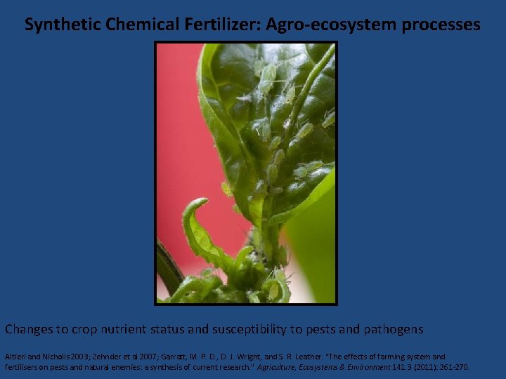Synthetic Chemical Fertilizer: Agro-ecosystem processes Changes to crop nutrient status and susceptibility to pests