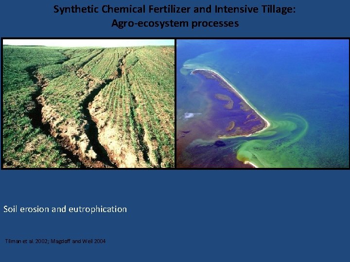 Synthetic Chemical Fertilizer and Intensive Tillage: Agro-ecosystem processes Soil erosion and eutrophication Tilman et