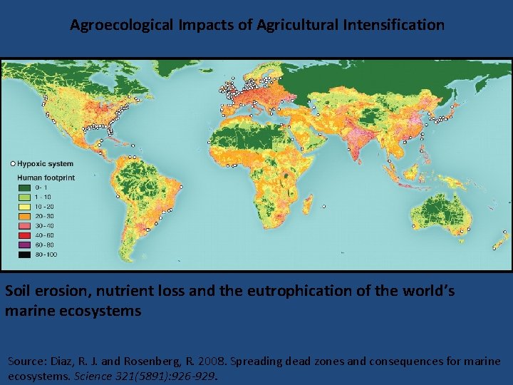 Agroecological Impacts of Agricultural Intensification Soil erosion, nutrient loss and the eutrophication of the