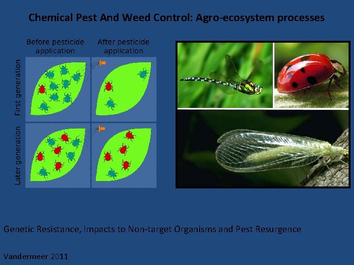 Chemical Pest And Weed Control: Agro-ecosystem processes Genetic Resistance, Impacts to Non-target Organisms and
