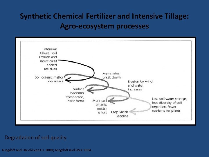 Synthetic Chemical Fertilizer and Intensive Tillage: Agro-ecosystem processes Degradation of soil quality Magdoff and