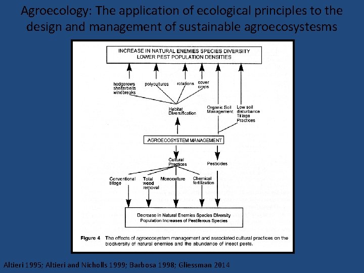 Agroecology: The application of ecological principles to the design and management of sustainable agroecosystesms
