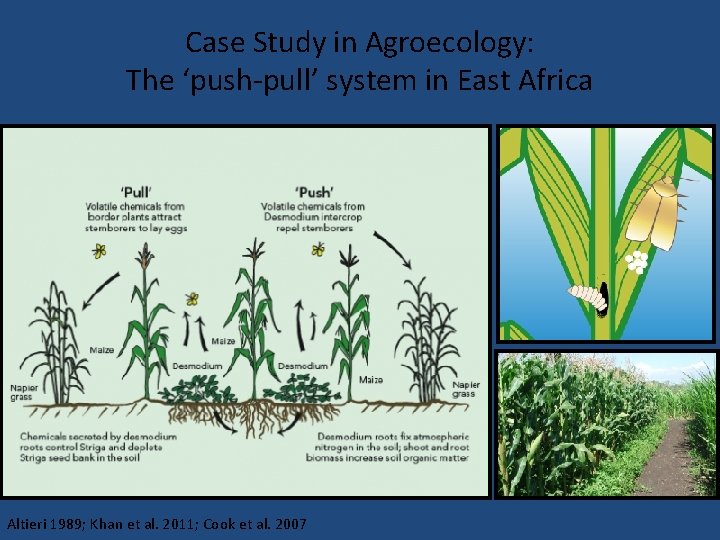 Case Study in Agroecology: The ‘push-pull’ system in East Africa Altieri 1989; Khan et