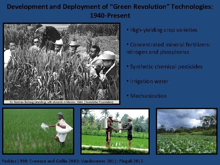 Development and Deployment of “Green Revolution” Technologies: 1940 -Present • High-yielding crop varieties •