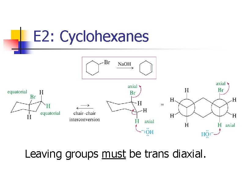 E 2: Cyclohexanes Leaving groups must be trans diaxial. 