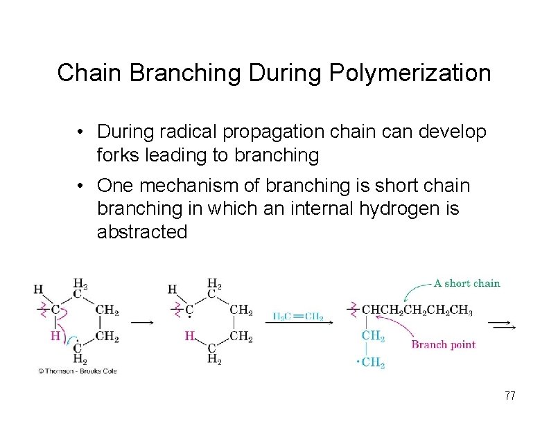 Chain Branching During Polymerization • During radical propagation chain can develop forks leading to