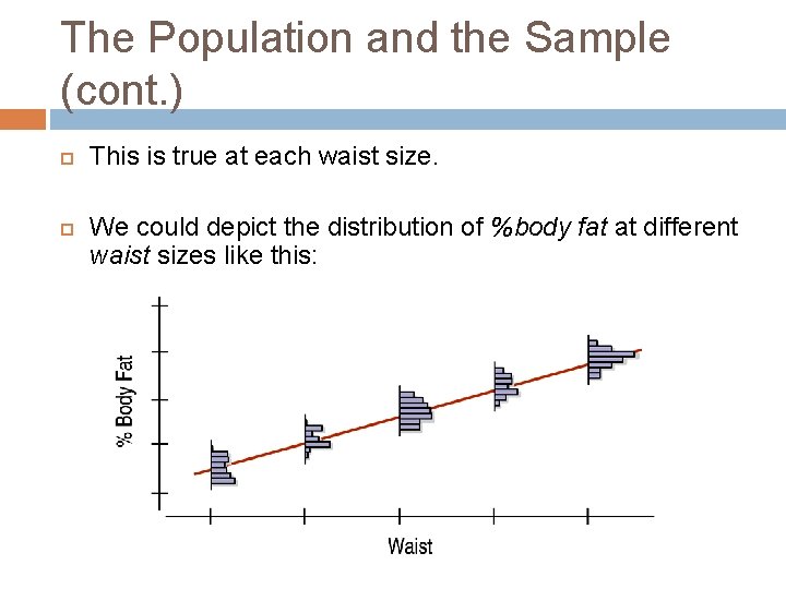 The Population and the Sample (cont. ) This is true at each waist size.