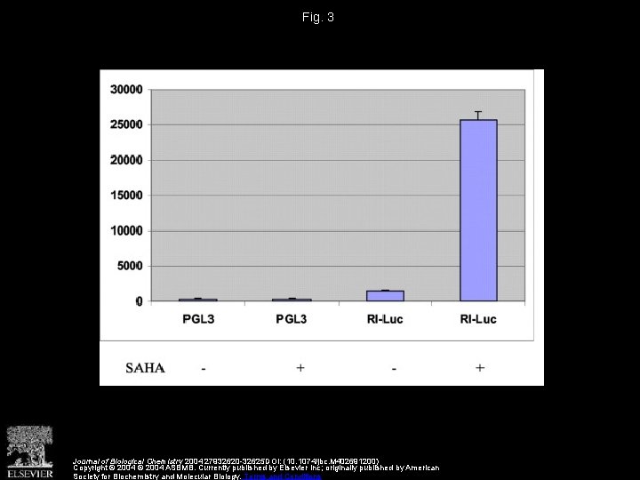 Fig. 3 Journal of Biological Chemistry 2004 27932620 -32625 DOI: (10. 1074/jbc. M 402691200)