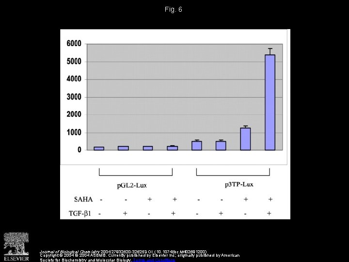 Fig. 6 Journal of Biological Chemistry 2004 27932620 -32625 DOI: (10. 1074/jbc. M 402691200)