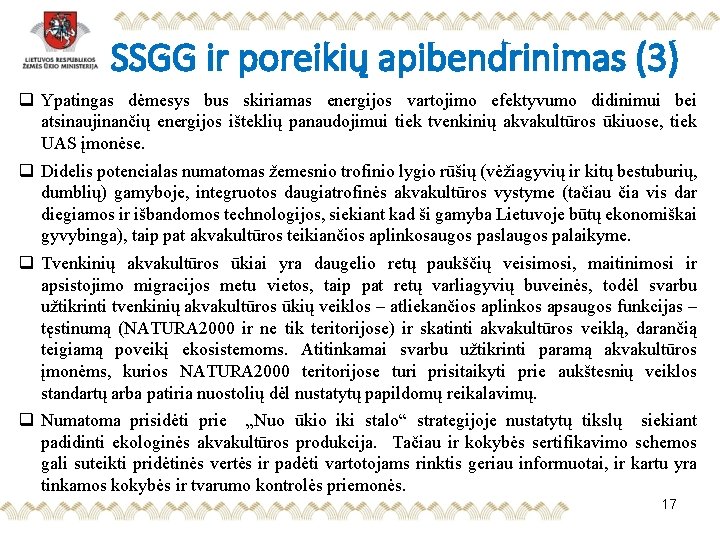 SSGG ir poreikių apibendrinimas (3) q Ypatingas dėmesys bus skiriamas energijos vartojimo efektyvumo didinimui