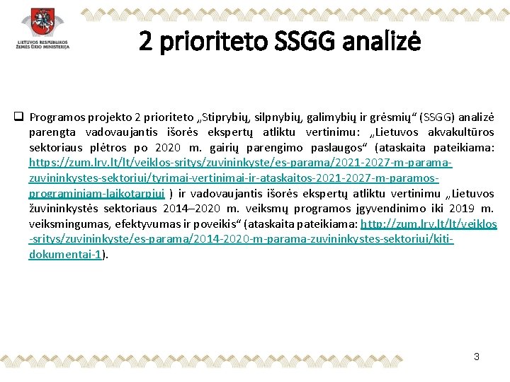 2 prioriteto SSGG analizė q Programos projekto 2 prioriteto „Stiprybių, silpnybių, galimybių ir grėsmių“