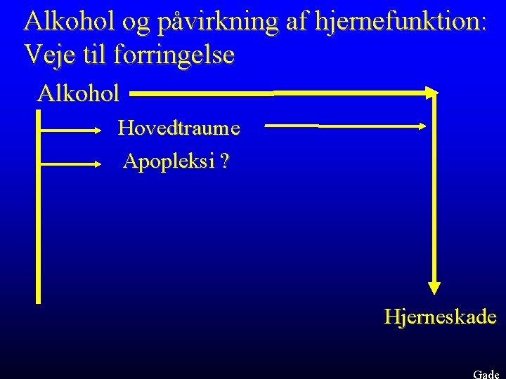 Alkohol og påvirkning af hjernefunktion: Veje til forringelse Alkohol Hovedtraume Apopleksi ? Hjerneskade Gade