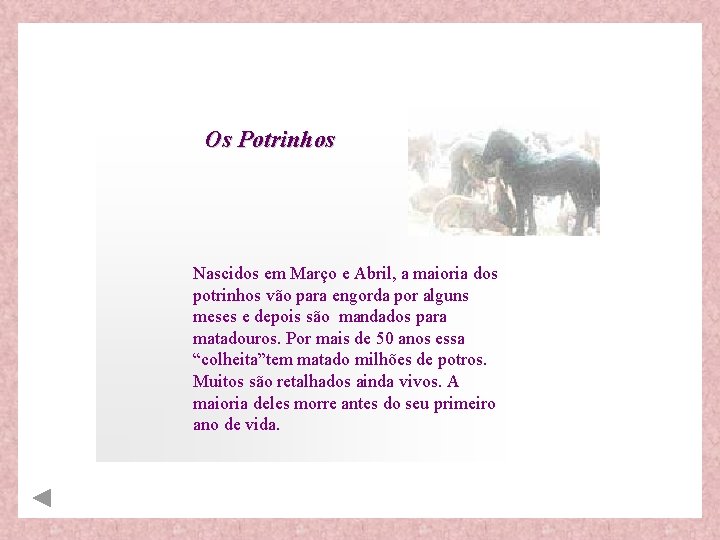 Os Potrinhos Nascidos em Março e Abril, a maioria dos potrinhos vão para engorda