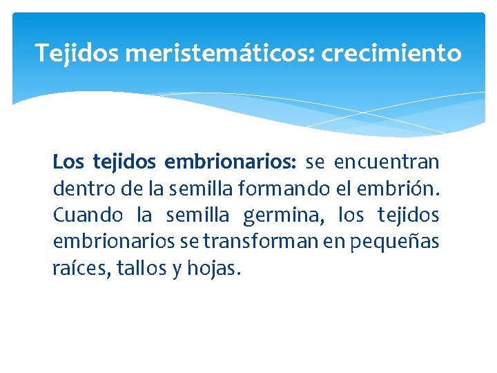 Tejidos meristemáticos: crecimiento Los tejidos embrionarios: se encuentran dentro de la semilla formando el