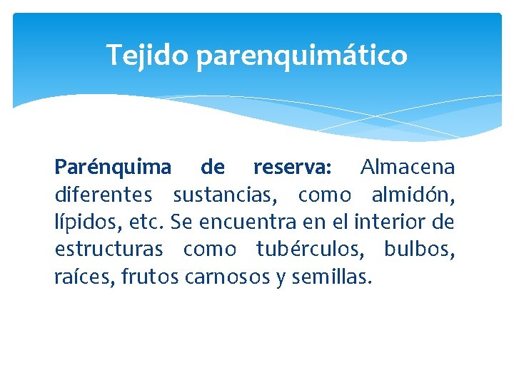Tejido parenquimático Parénquima de reserva: Almacena diferentes sustancias, como almidón, lípidos, etc. Se encuentra