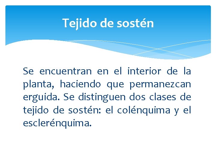 Tejido de sostén Se encuentran en el interior de la planta, haciendo que permanezcan