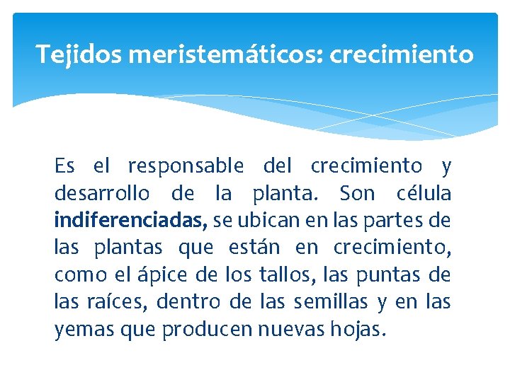 Tejidos meristemáticos: crecimiento Es el responsable del crecimiento y desarrollo de la planta. Son