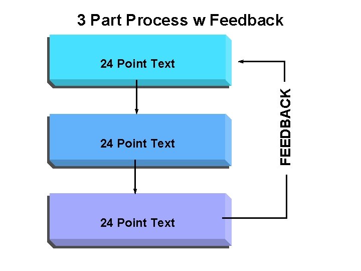 3 Part Process w Feedback 24 Point Text FEEDBACK 24 Point Text 