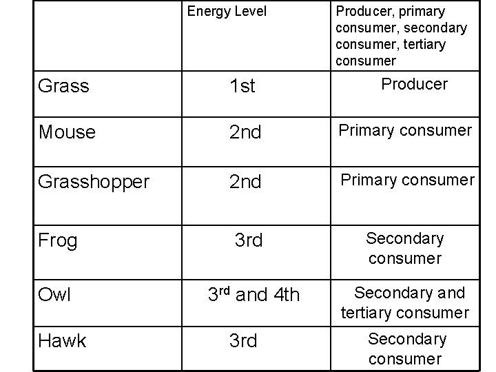Energy Level Producer, primary consumer, secondary consumer, tertiary consumer Producer Grass 1 st Mouse