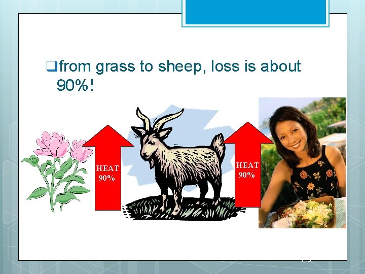 qfrom grass to sheep, loss is about 90%! HEAT 90% 100% Energy Available 10%