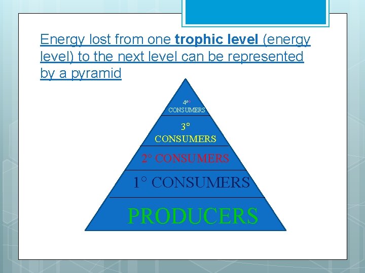 Energy lost from one trophic level (energy level) to the next level can be