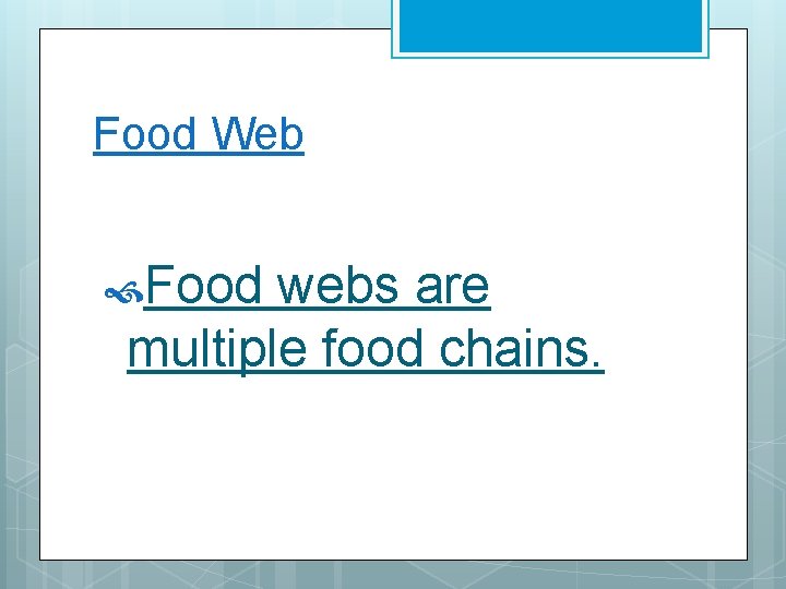 Food Web Food webs are multiple food chains. 