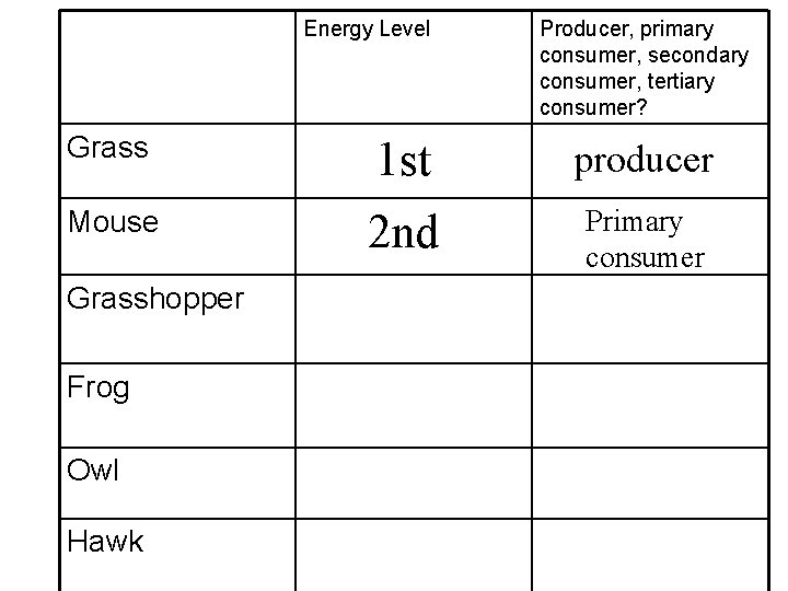 Energy Level Grass Mouse Grasshopper Frog Owl Hawk Producer, primary consumer, secondary consumer, tertiary