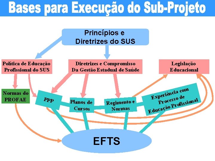 Princípios e Diretrizes do SUS Política de Educação Profissional do SUS Normas do PROFAE