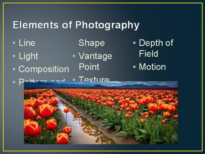 Elements of Photography • • Line Shape Light • Vantage Composition Point Pattern and