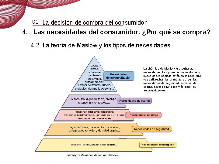 01 La decisión de compra del consumidor 4. Las necesidades del consumidor. ¿Por qué