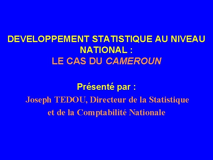 DEVELOPPEMENT STATISTIQUE AU NIVEAU NATIONAL : LE CAS DU CAMEROUN Présenté par : Joseph