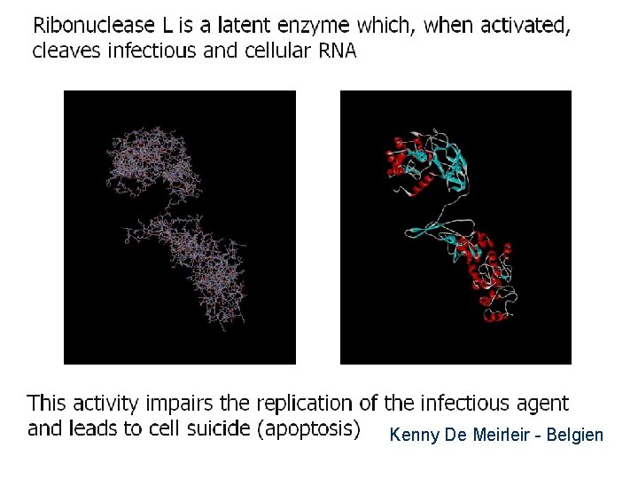 17 Kenny De Meirleir - Belgien 