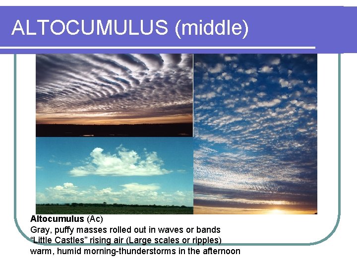 ALTOCUMULUS (middle) Altocumulus (Ac) Gray, puffy masses rolled out in waves or bands “Little