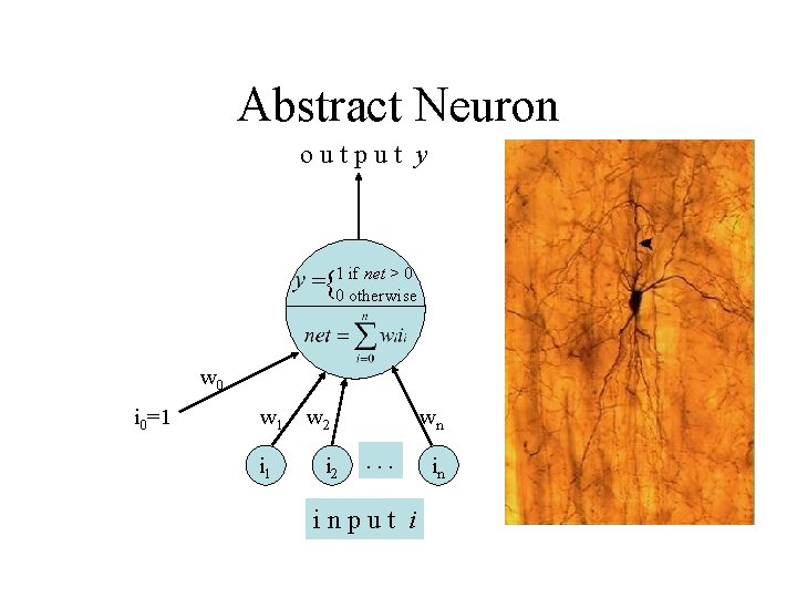 Abstract Neuron output y net > 0 {10 ifotherwise w 0 i 0=1 w