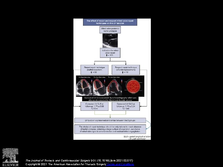 The Journal of Thoracic and Cardiovascular Surgery DOI: (10. 1016/j. jtcvs. 2021. 02. 017)