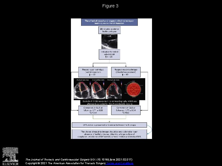 Figure 3 The Journal of Thoracic and Cardiovascular Surgery DOI: (10. 1016/j. jtcvs. 2021.