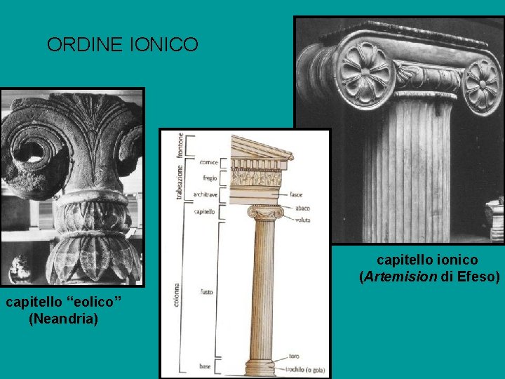 ORDINE IONICO capitello ionico (Artemision di Efeso) capitello “eolico” (Neandria) 