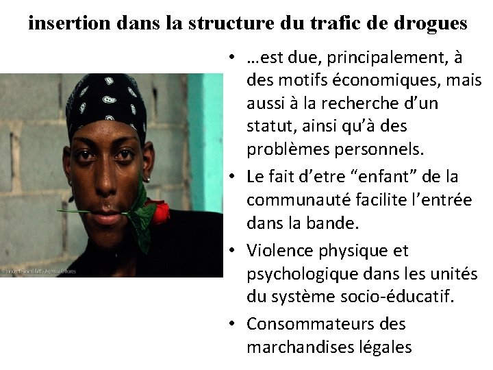 insertion dans la structure du trafic de drogues • …est due, principalement, à des