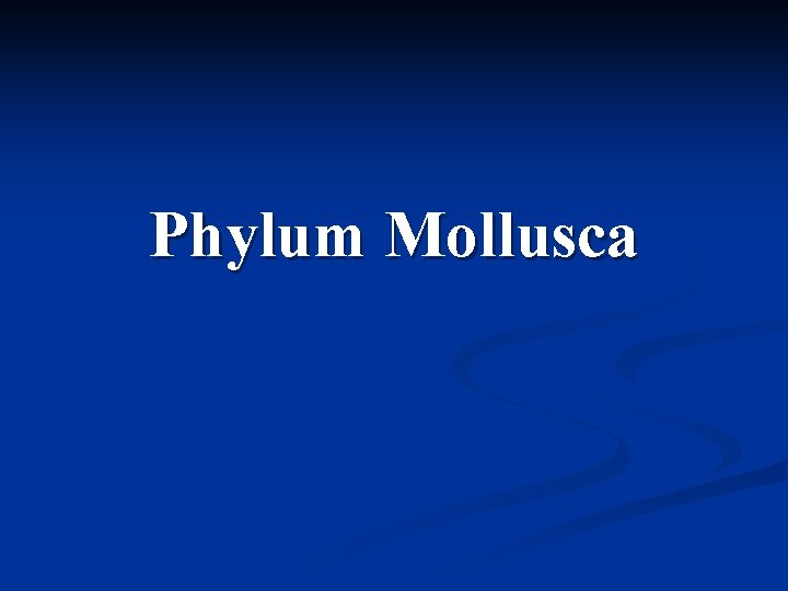 Phylum Mollusca 