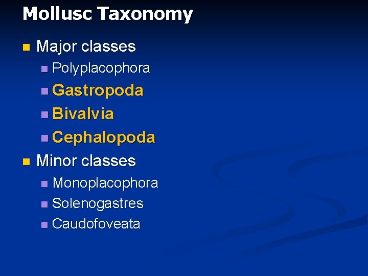 Mollusc Taxonomy n Major classes n Polyplacophora n Gastropoda n Bivalvia n Cephalopoda n