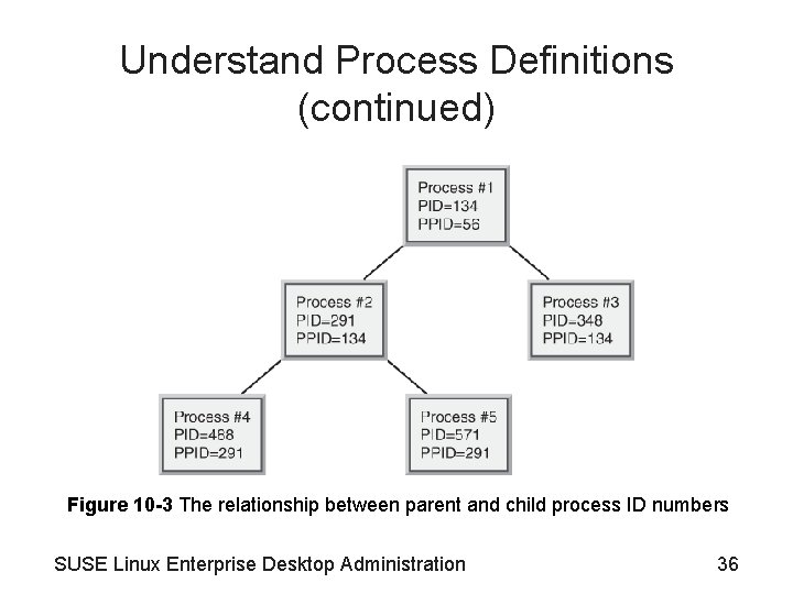 Understand Process Definitions (continued) Figure 10 -3 The relationship between parent and child process