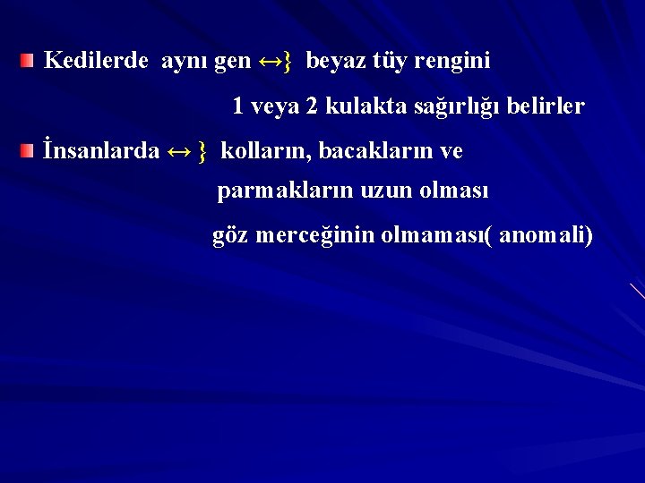 Kedilerde aynı gen ↔} beyaz tüy rengini 1 veya 2 kulakta sağırlığı belirler İnsanlarda