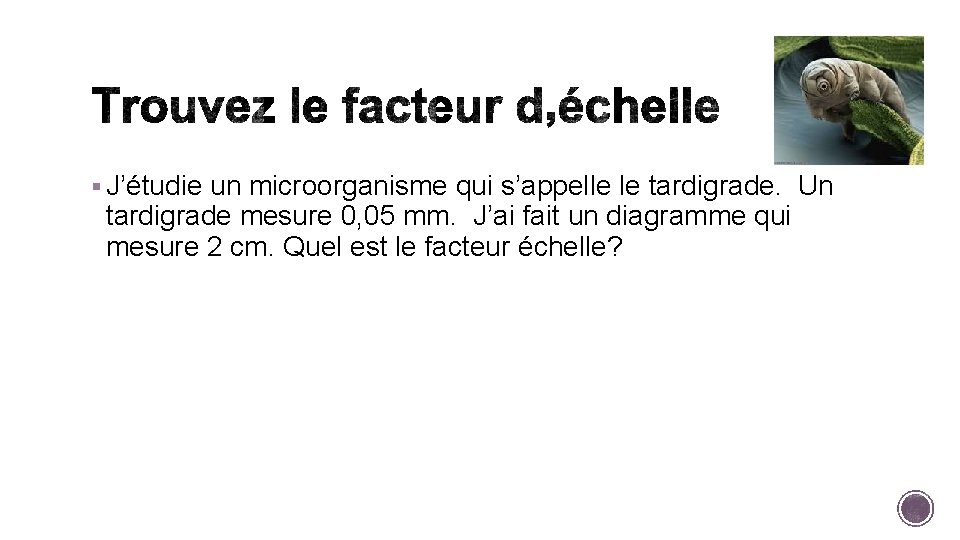 § J’étudie un microorganisme qui s’appelle le tardigrade. Un tardigrade mesure 0, 05 mm.