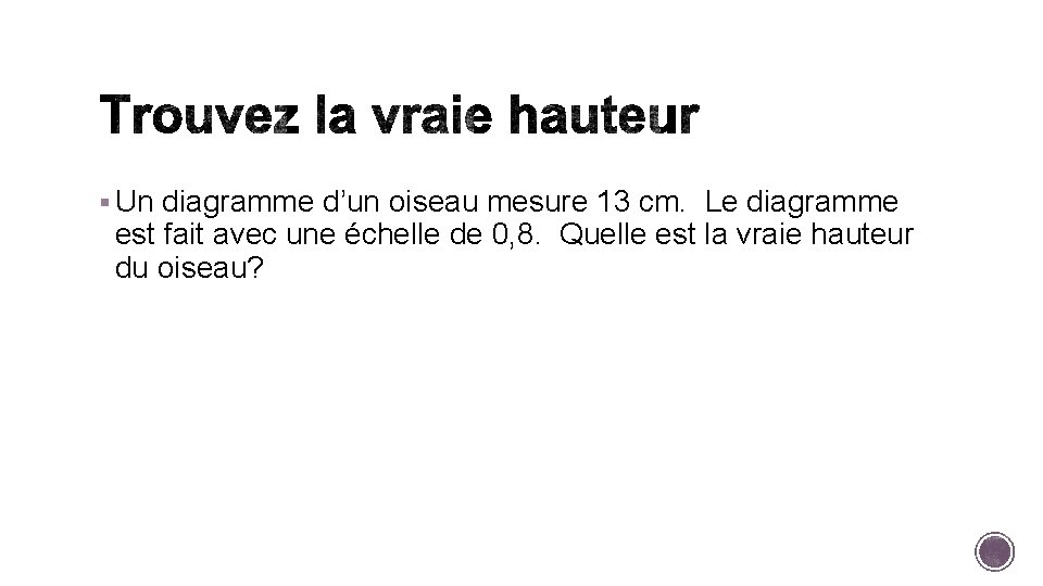 § Un diagramme d’un oiseau mesure 13 cm. Le diagramme est fait avec une