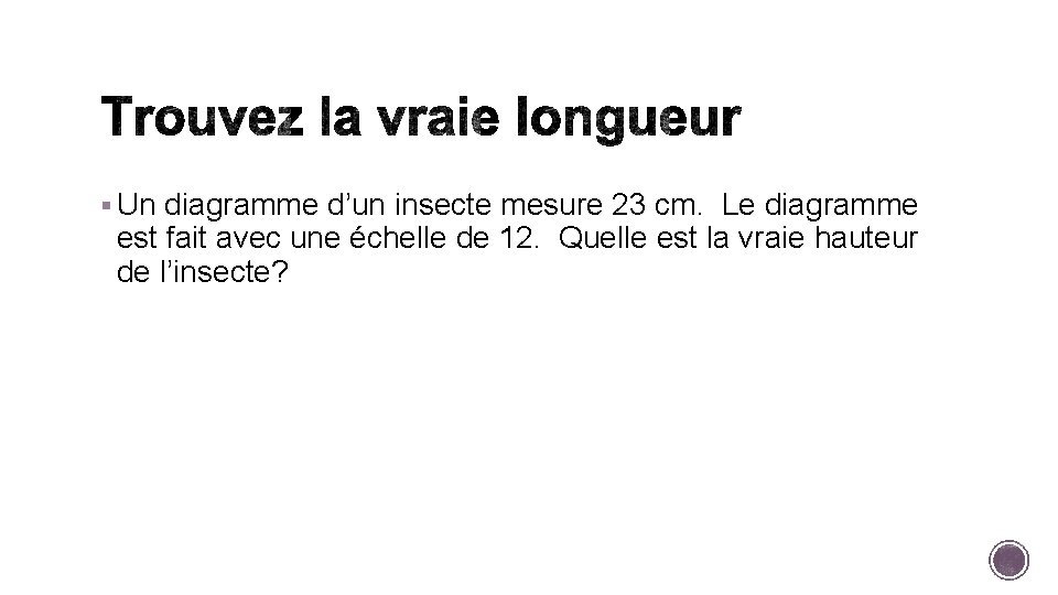 § Un diagramme d’un insecte mesure 23 cm. Le diagramme est fait avec une