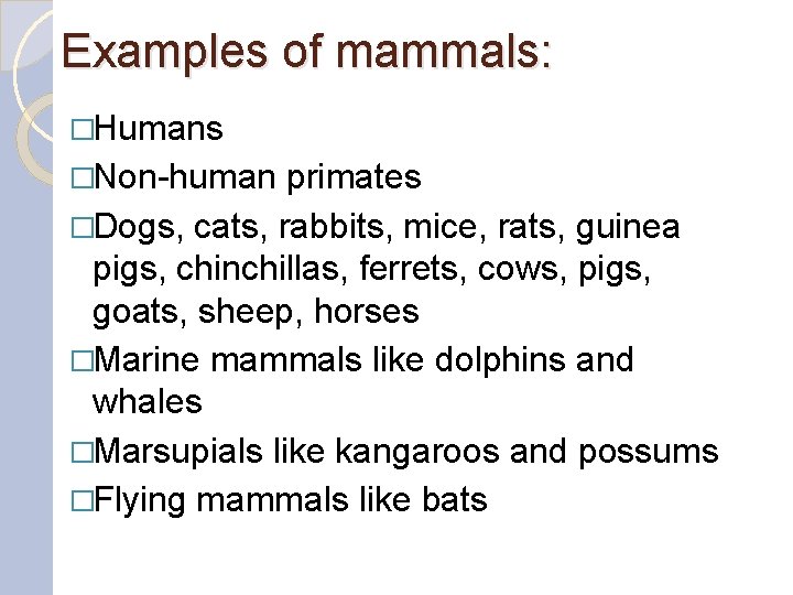 Examples of mammals: �Humans �Non-human primates �Dogs, cats, rabbits, mice, rats, guinea pigs, chinchillas,
